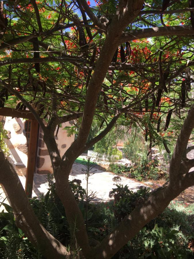 Vereda De Las Camellas Otel Puerto del Rosario  Dış mekan fotoğraf