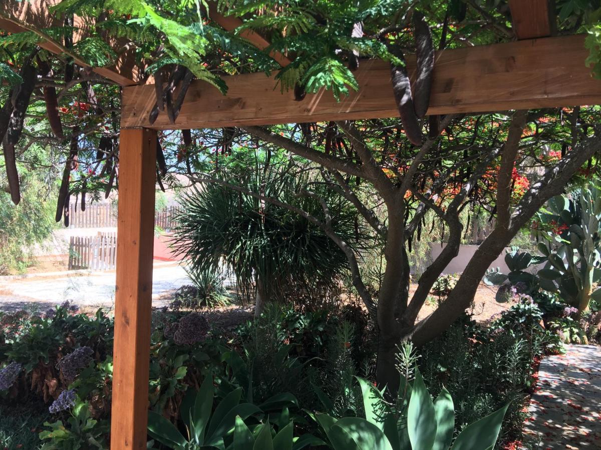 Vereda De Las Camellas Otel Puerto del Rosario  Dış mekan fotoğraf