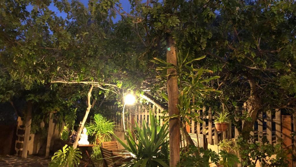 Vereda De Las Camellas Otel Puerto del Rosario  Dış mekan fotoğraf