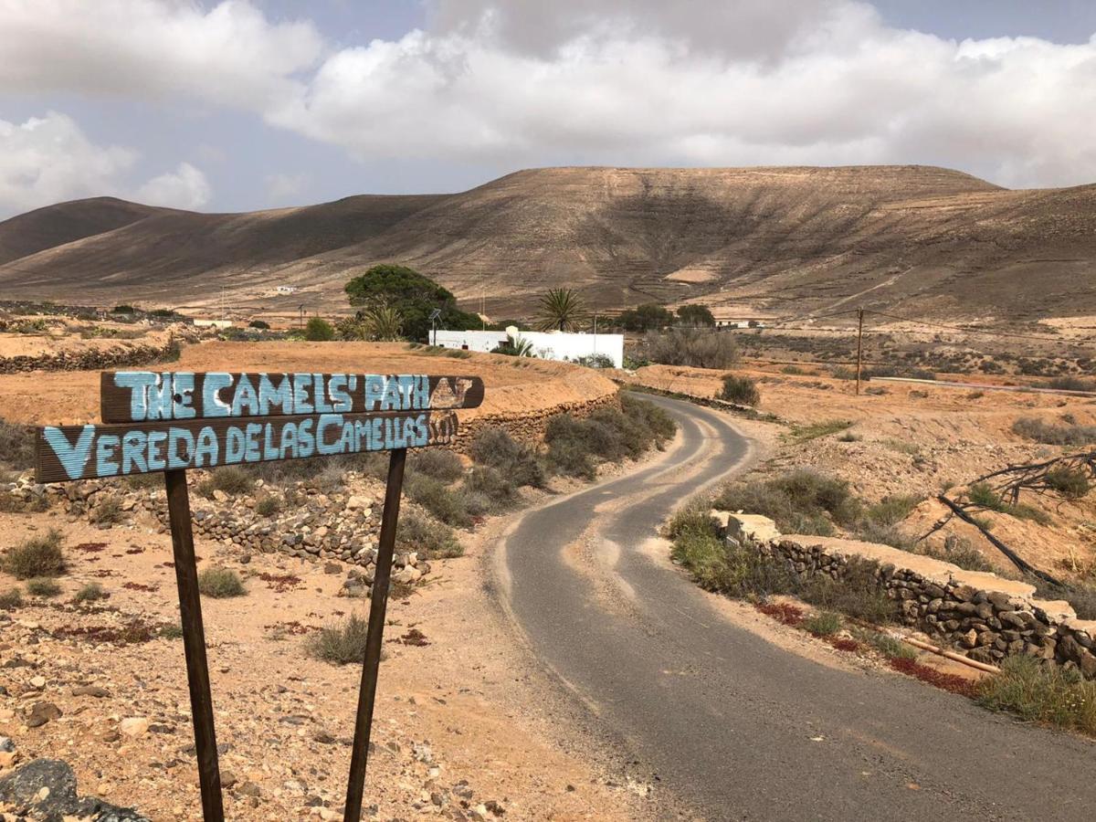 Vereda De Las Camellas Otel Puerto del Rosario  Dış mekan fotoğraf