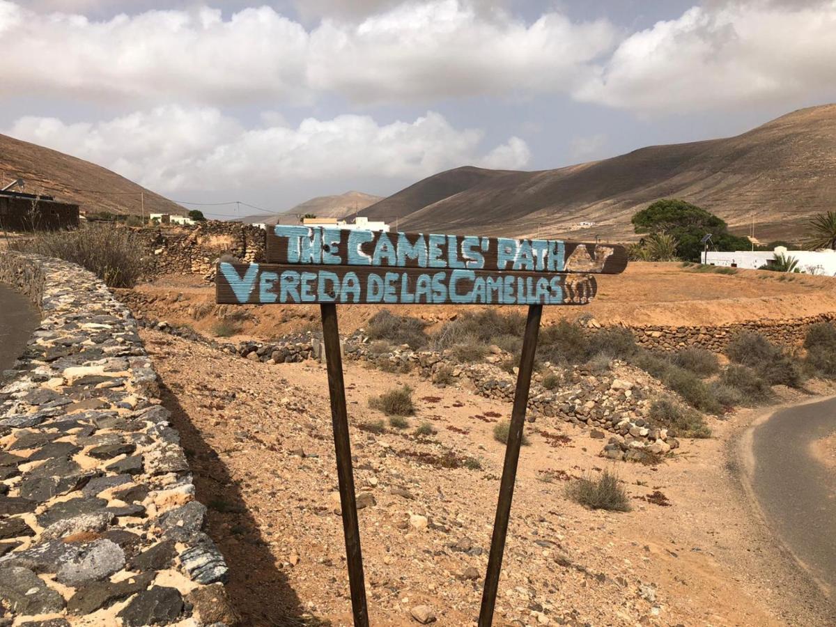 Vereda De Las Camellas Otel Puerto del Rosario  Dış mekan fotoğraf